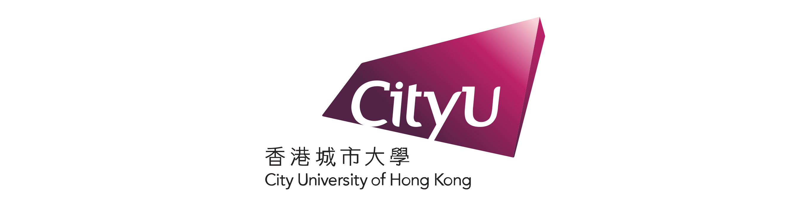 City University of Hong Kong