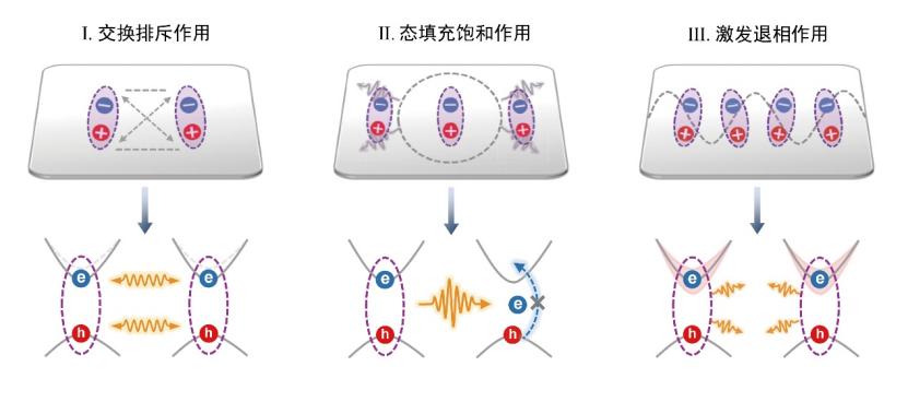 图3：Ag ND-WS2 plexciton 体系中粒子间发生相互作用的三种物理机制